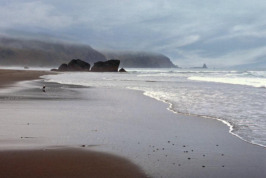 Coastal Scene #206